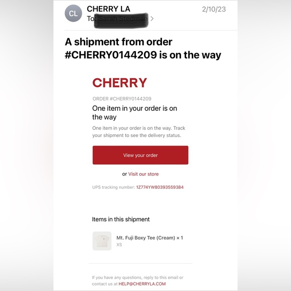 Cherry LA Valentine’s Day Mt. Fuji Boxy Tee (Cream) Size XS SOLD OUT - Picture 8 of 9